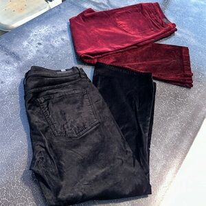 Lot of “velvet” pants. 2 ea. sz 31
